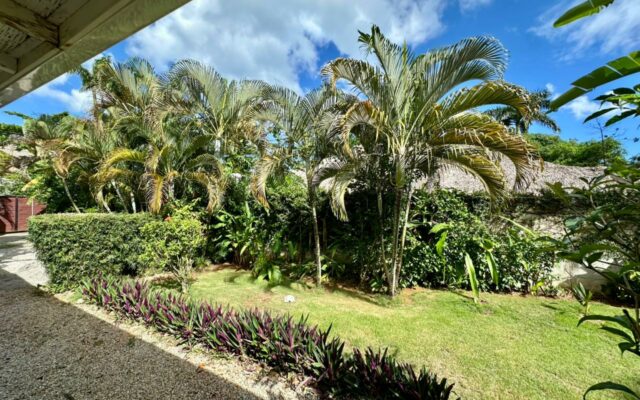 Le jardin ti paradis